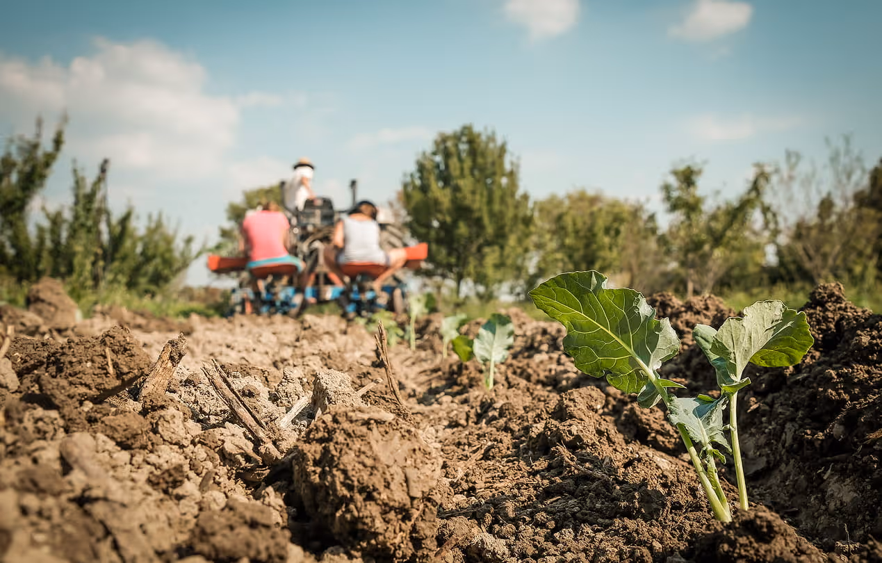 Vue d'une exploitation agricole préservée par la Fondation Terre de Liens pour un usage responsable des terres.