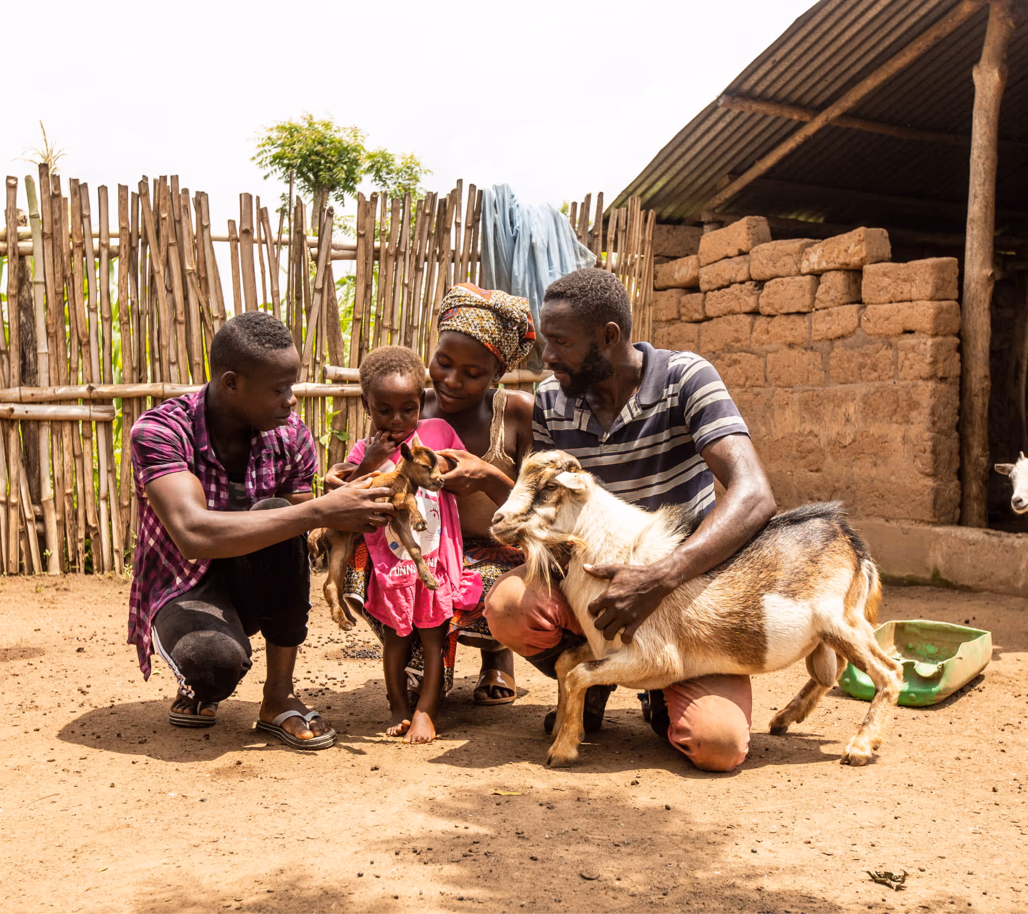Famille dans une ferme communautaire en Afrique s'occupant d'un cheptel de chèvres, illustrant le soutien à l'international.