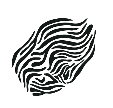 Zebra Print