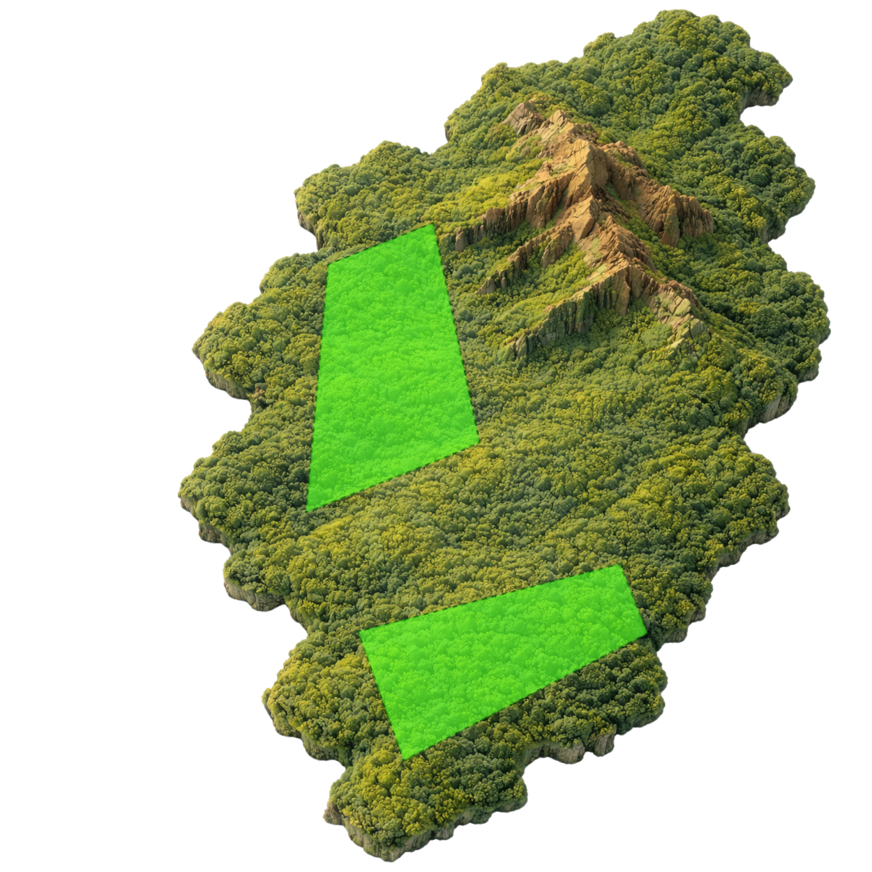Topographic 3D map of Pakistan showing mountainous terrain, forests, and plains.