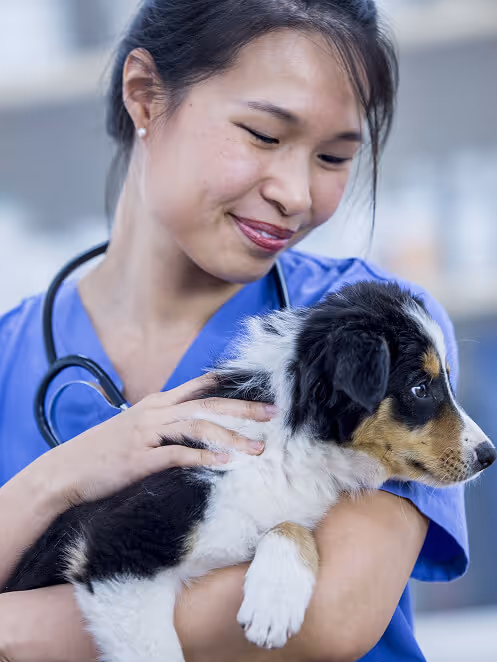 Regulatory affairs experts