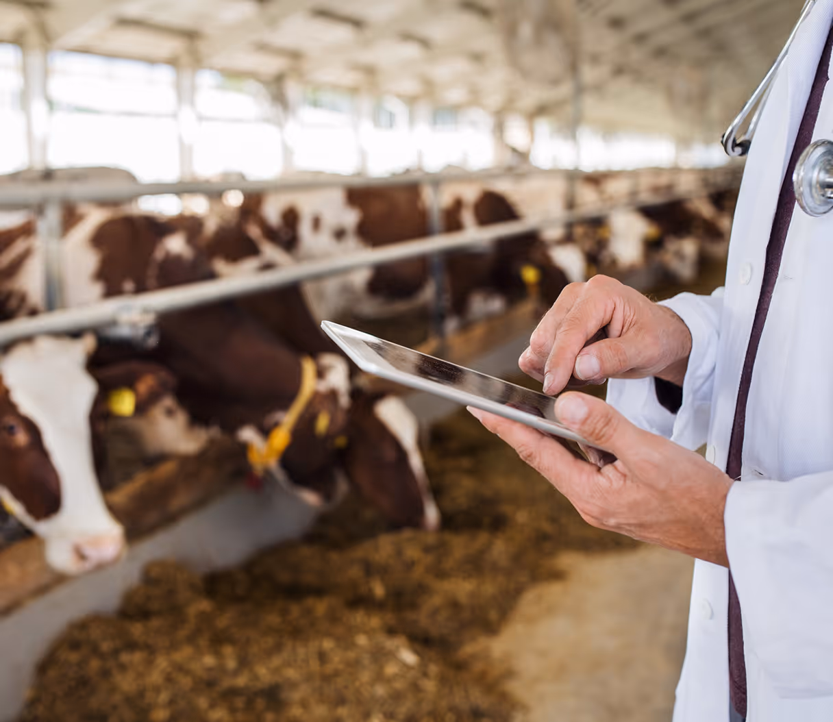 Feed additives registration materials