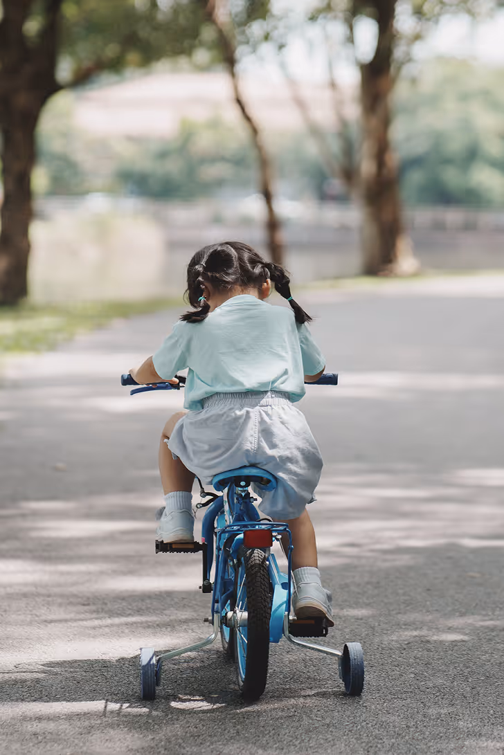 China Certification Services for Toys