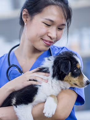 Regulatory affairs experts