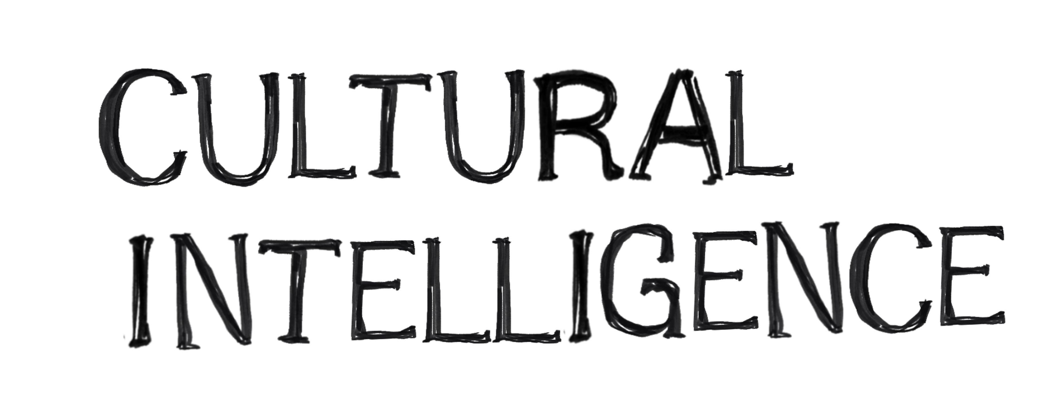 Cultural Intelligence