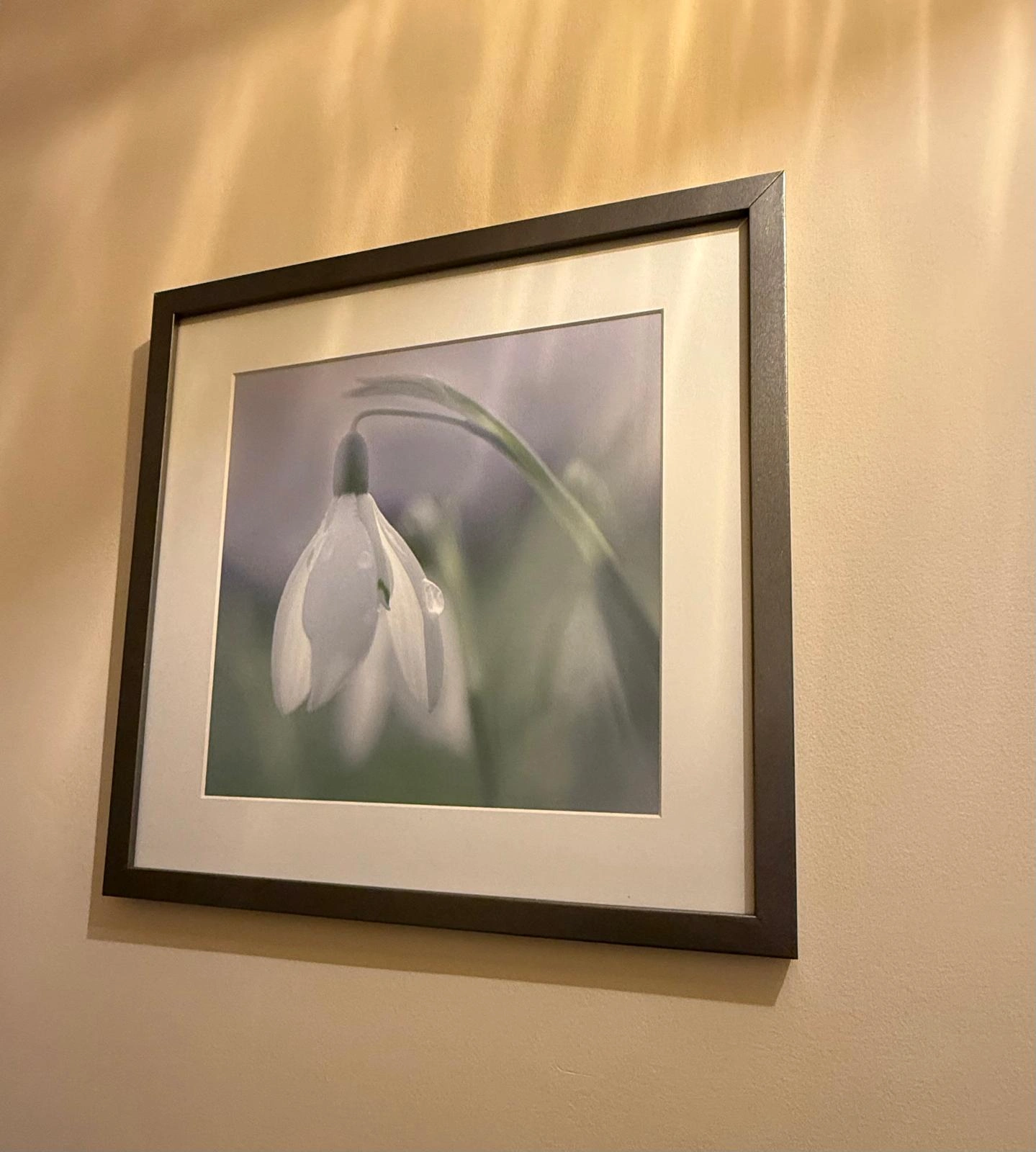 A man sitting in the room in old romantic cottage
