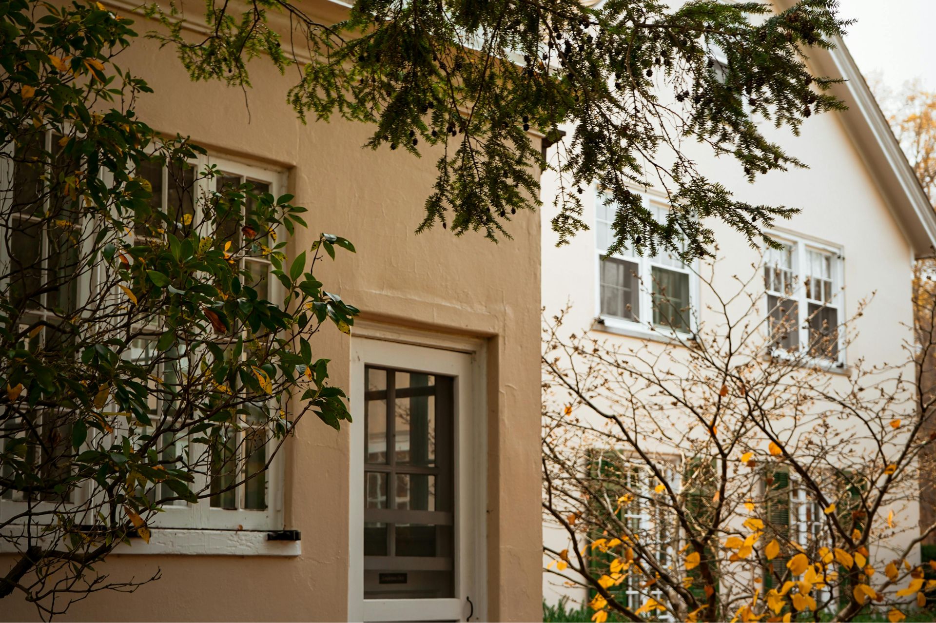 Close-up of a beige house wall with a window and a door, framed by green and yellow-leaved branches.
