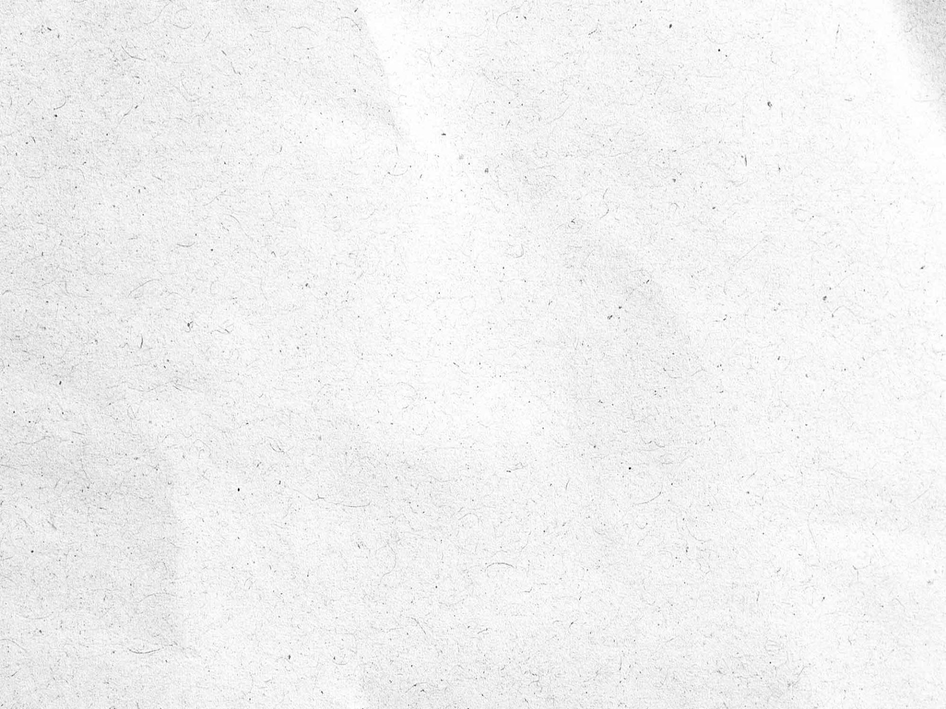 White textured paper background with subtle gray fibers and light creases.
