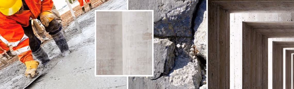 Vector Construction Canada