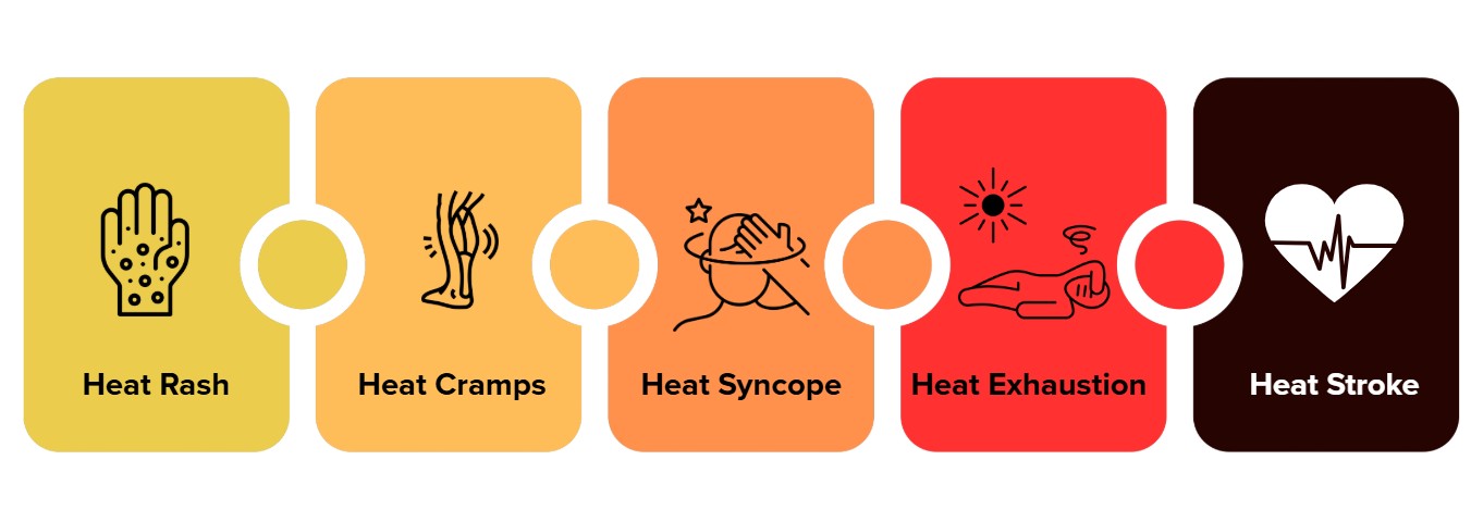 The 5 stages of heat stress