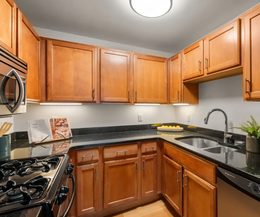 Modern kitchen with wooden cabinets, black granite countertops, stainless steel gas stove, double sink, and under-cabinet lighting.