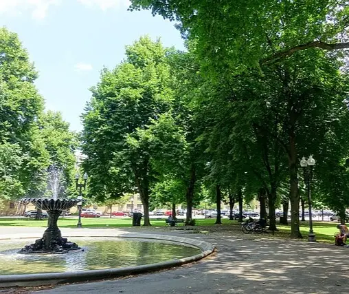 Curved water fountain with greenery and trees in Franklin Square park, Boston.