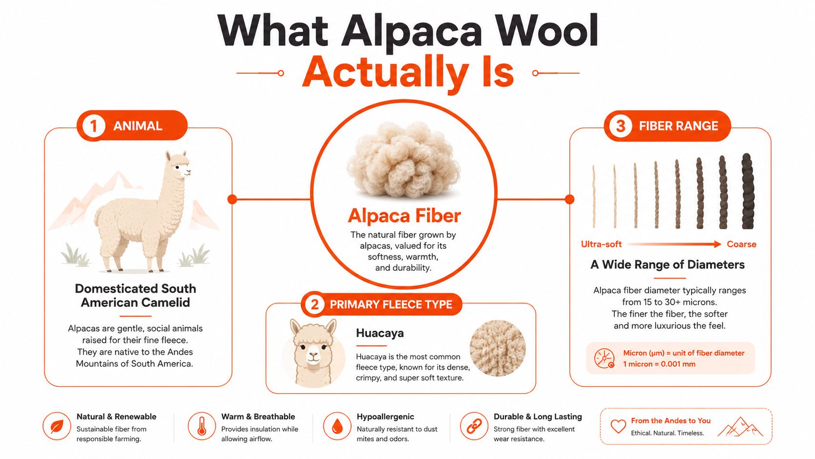 An educational infographic explaining the characteristics of alpaca wool, including animal origin, fleece types, and fiber range.