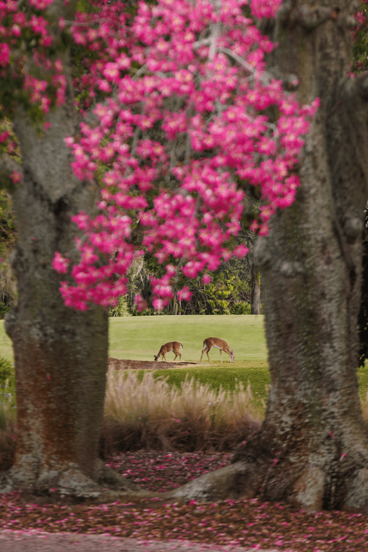 Lake Nona Golf & Country Club - Golf Performance Center