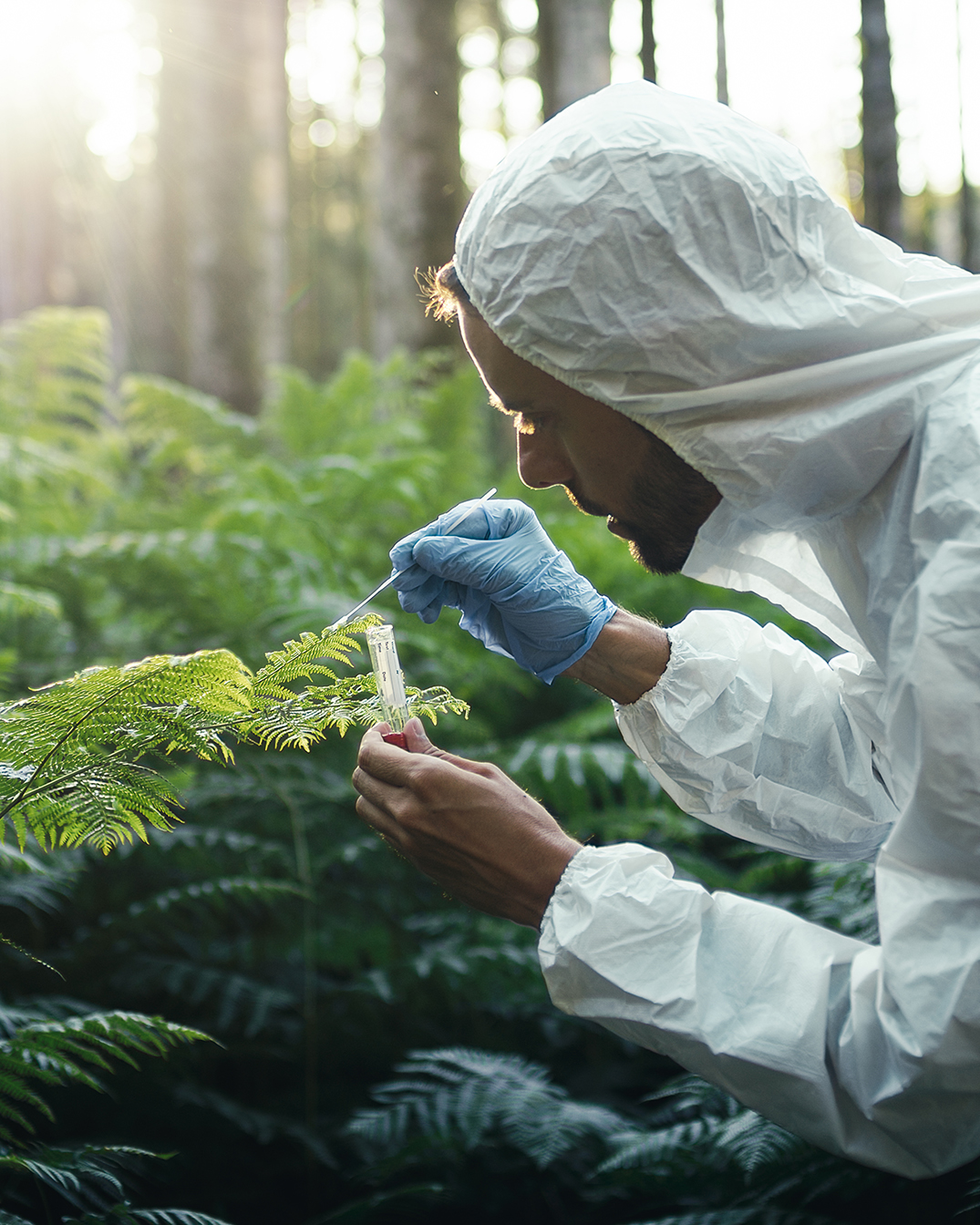 Scientist in protective white suit and blue gloves collecting a leaf sample with a swab in a forest.