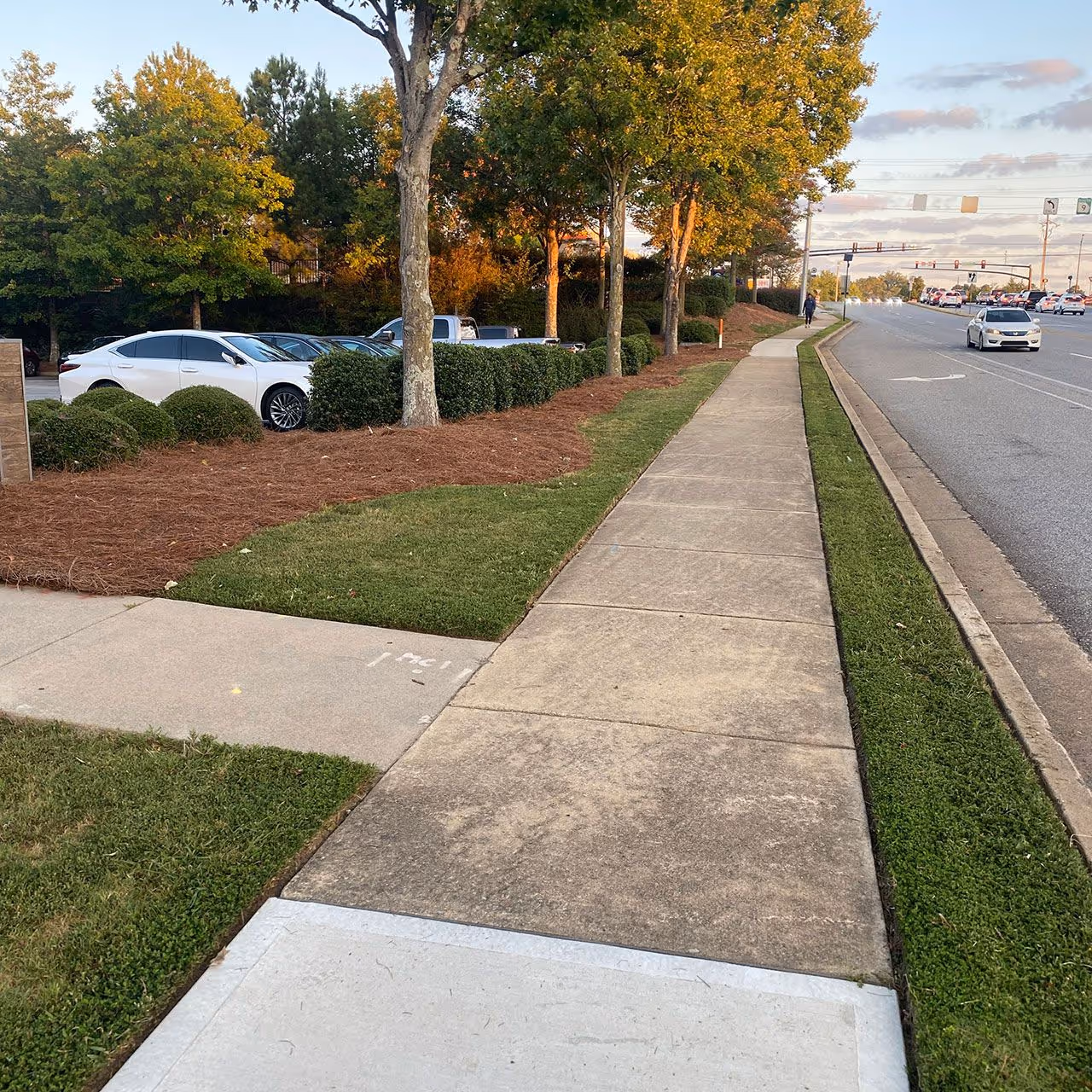 Residential lawn care near me by Georgia Pro Scapes