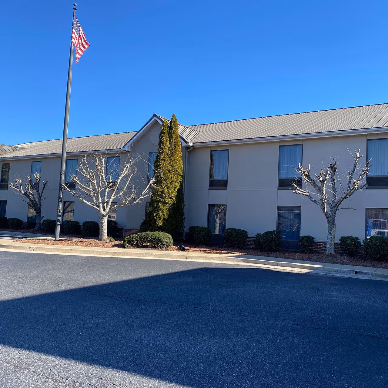 Tree and shrub trimming by Georgia Pro Scapes