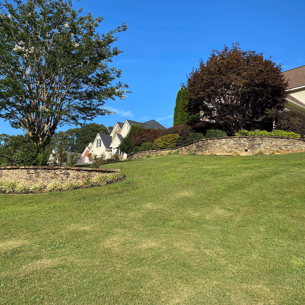 Professional lawn mowing and edging near me by Georgia Pro Scapes