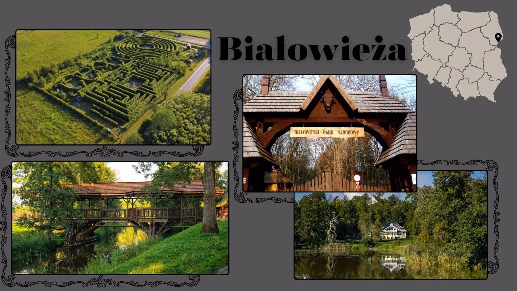 Białowieża - Piękne miejsca w Polsce