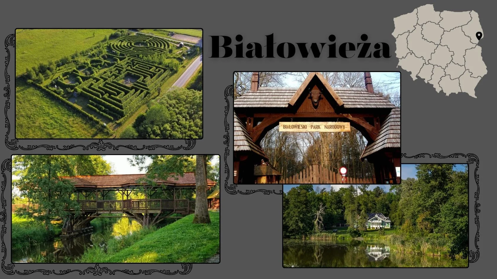 Białowieża - Piękne miejsca w Polsce