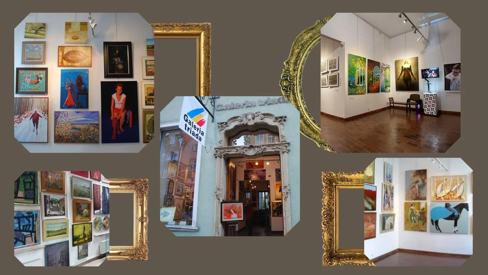 Galeria sztuki w Gdańsku