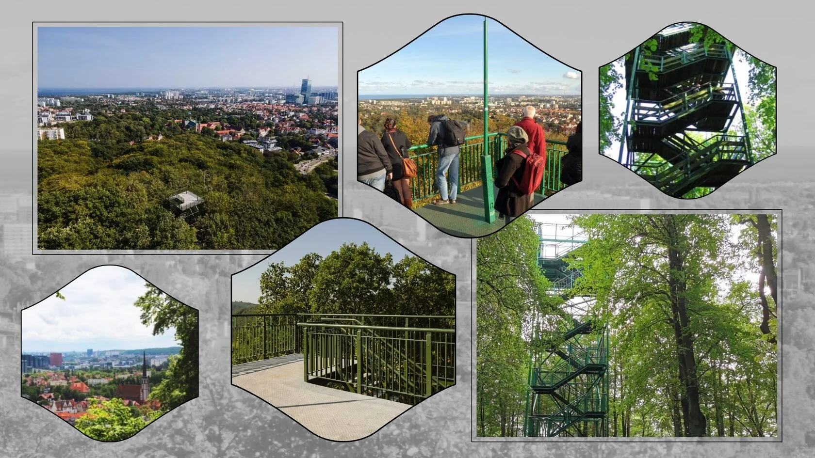 Miejsce na spacer w Gdańsku, w otoczeniu natury