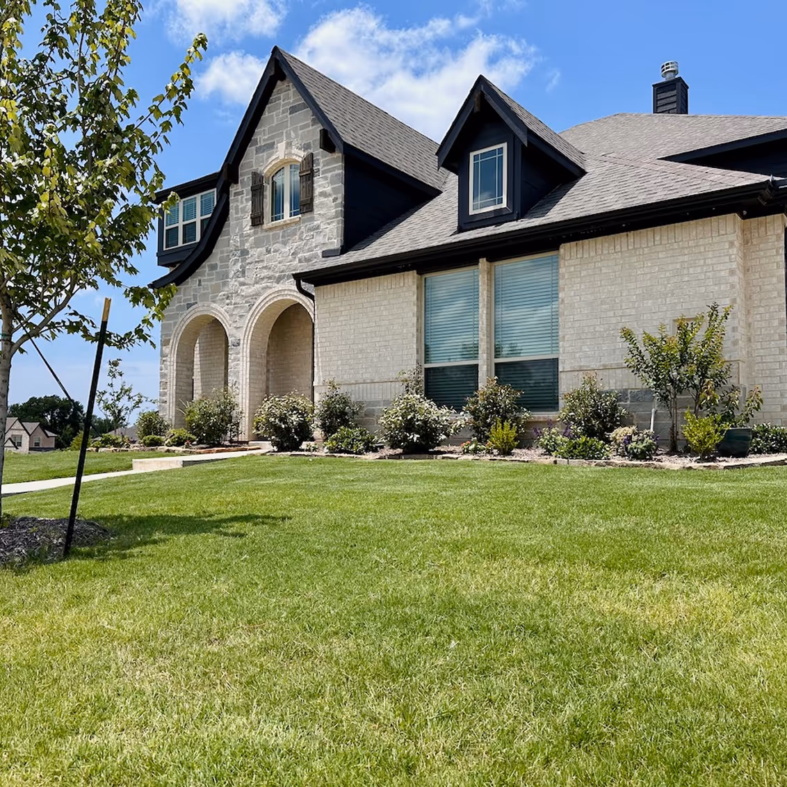 whole home treatment