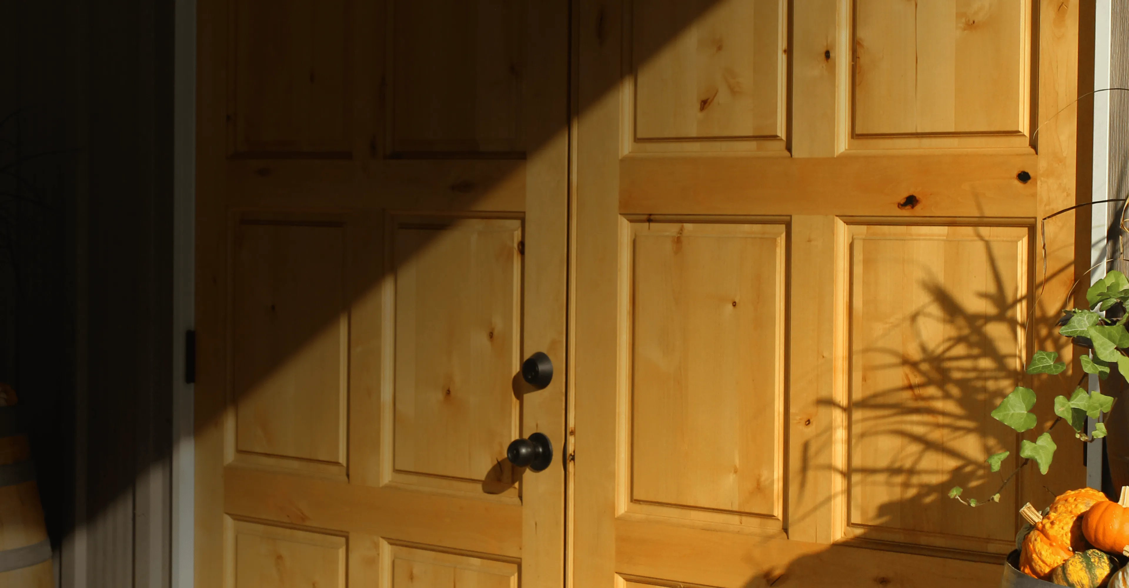 Sunlit wooden double doors with black handles, shadows cast by nearby plants and a barrel with pumpkins on the right side.