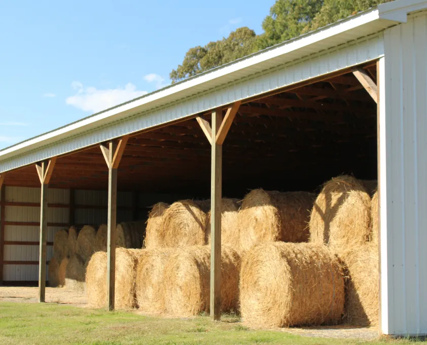 Hay bales stacked inside an open-sided barn on a sunny day with green grass outside.