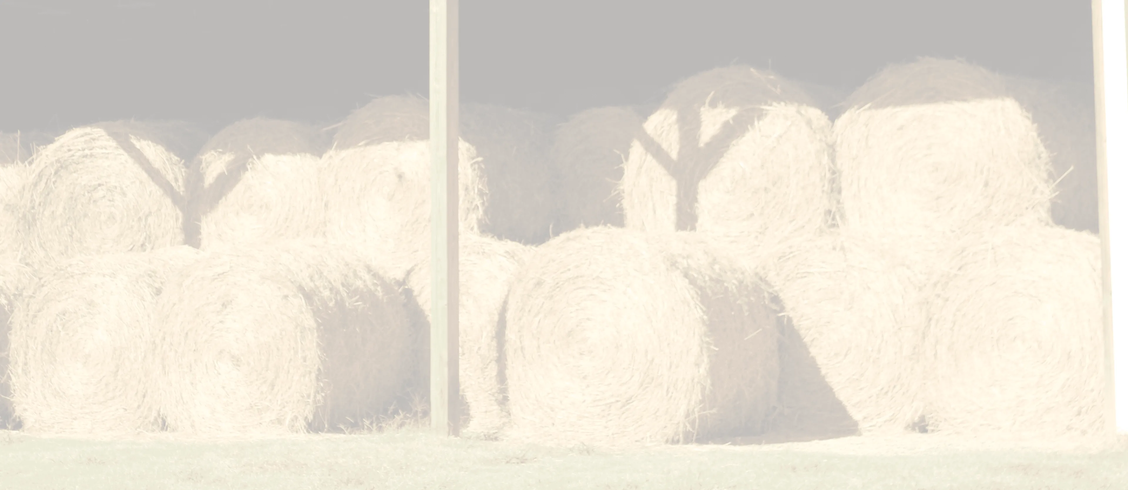 Stack of round hay bales stored under a shelter with wooden posts.