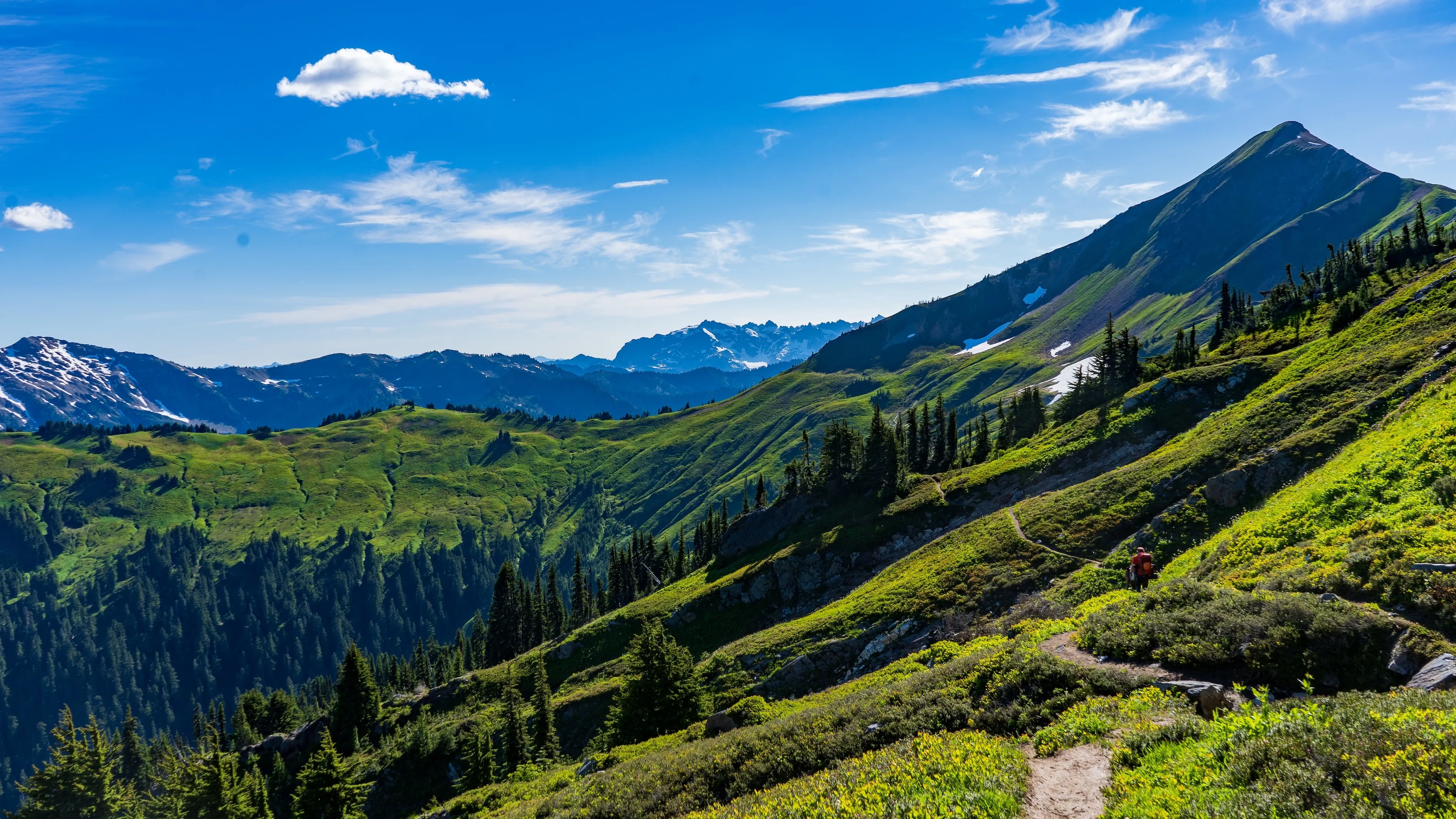 Hiker walking on a green mountain trail with snowy peaks and blue sky in the background.