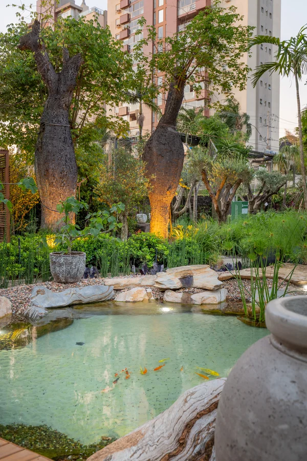 Small garden pond with goldfish, surrounded by rocks, plants, and two large trees against buildings.