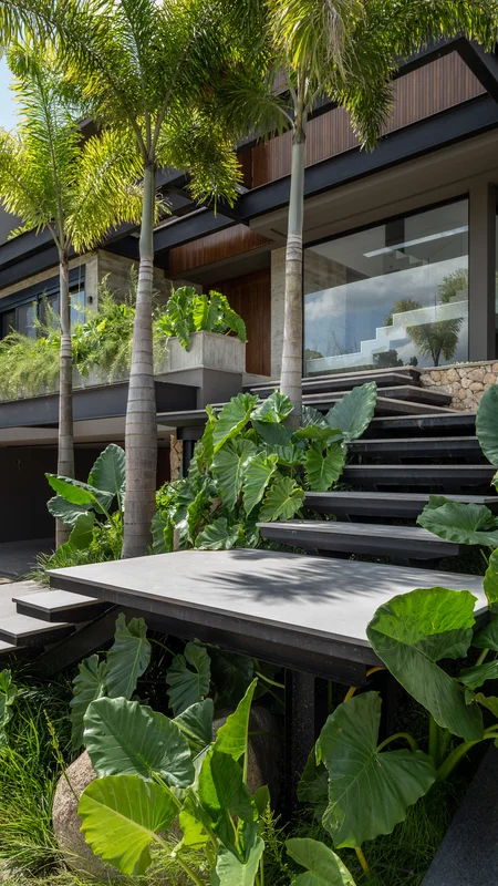 Modern house entrance with black stairs, large green leaves, and tall palm trees.