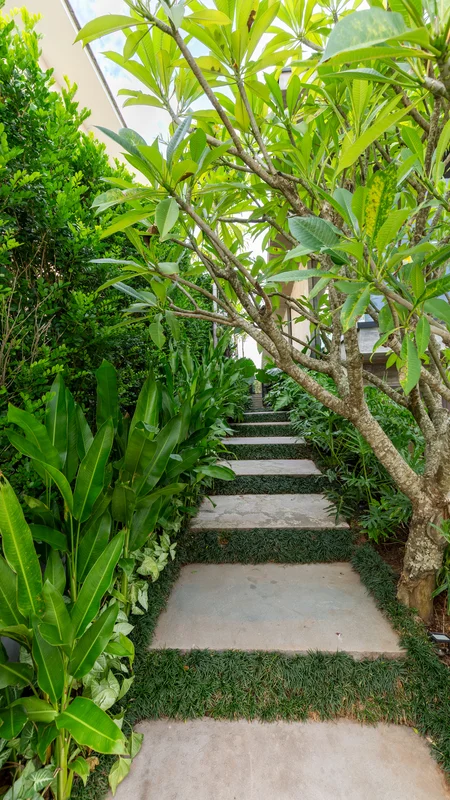 Stone steps bordered by green plants and a tree leading upward beside a building.