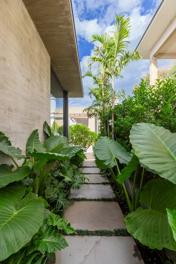 Garden pathway lined with large green leaves and tropical plants beside a modern building.