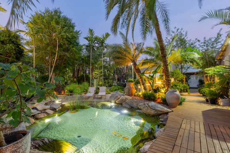 Tropical garden with lit pond, stone decorations, lounge chairs, and palm trees at dusk.