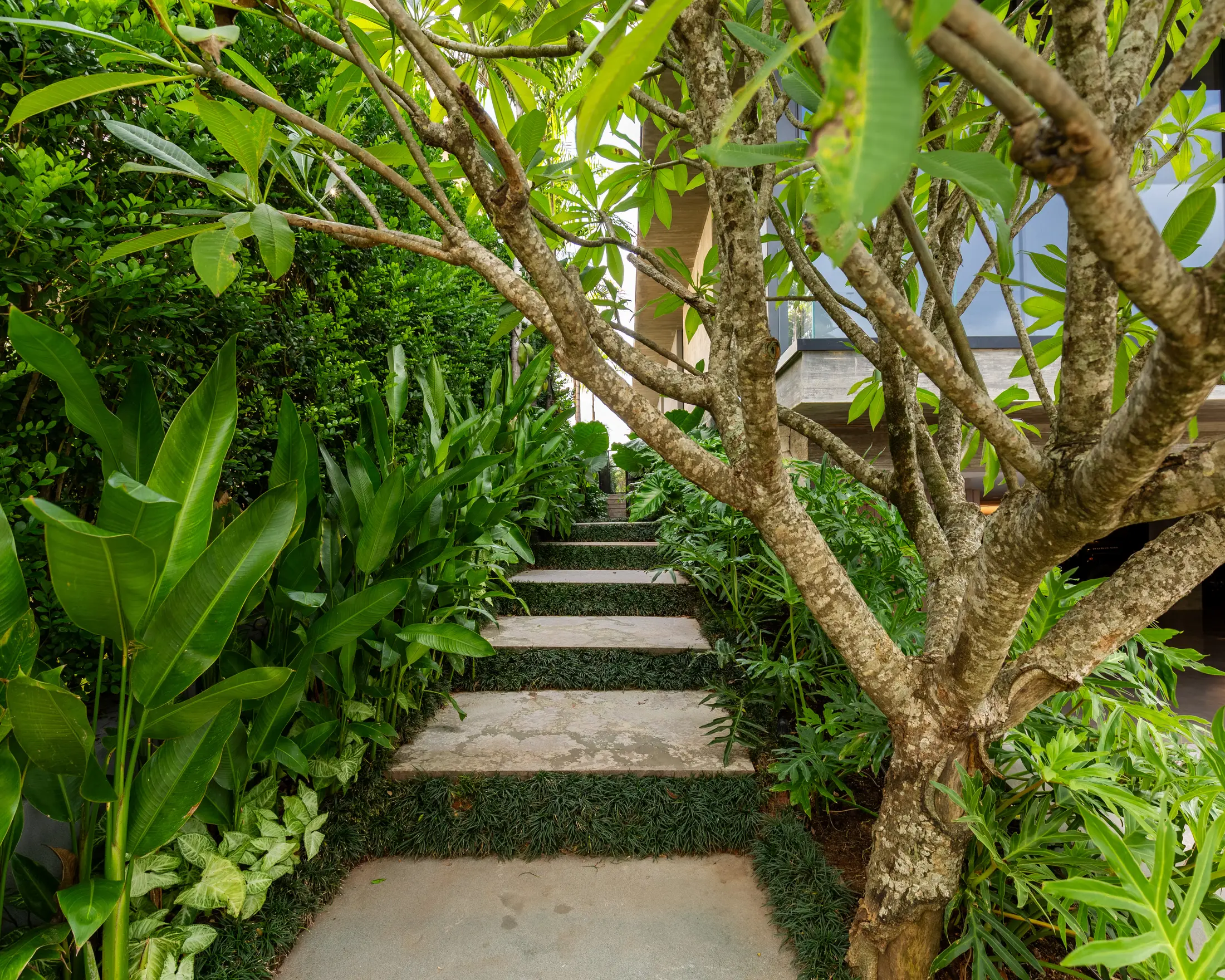 Stone steps surrounded by lush green plants and trees leading up to a modern building entrance.