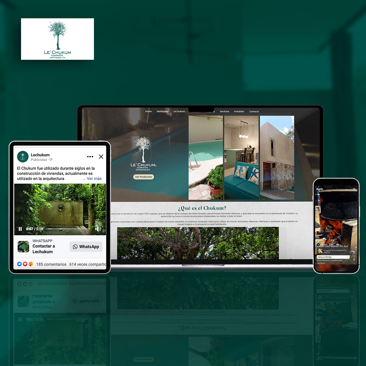 Website / Pauta digital / Automatización