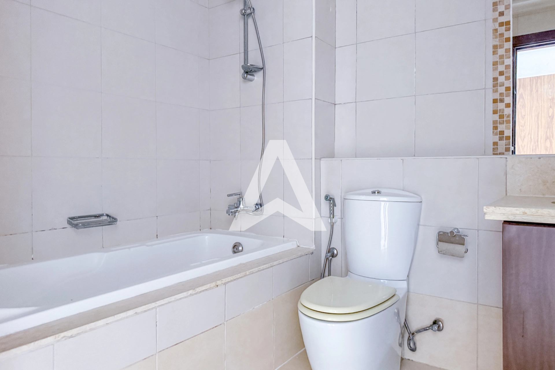 Displayed image from the thumbnail slider