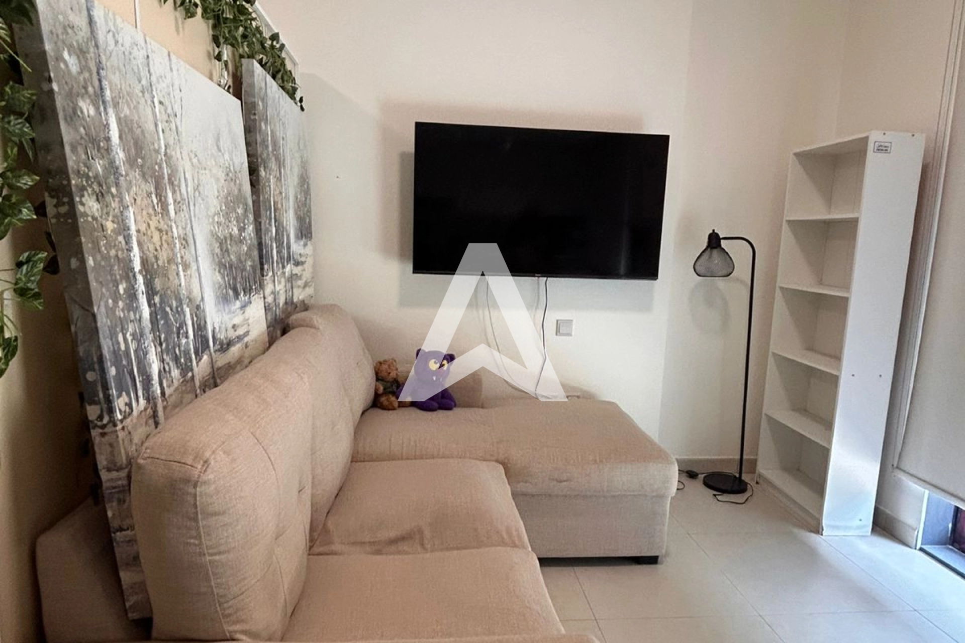 Displayed image from the thumbnail slider