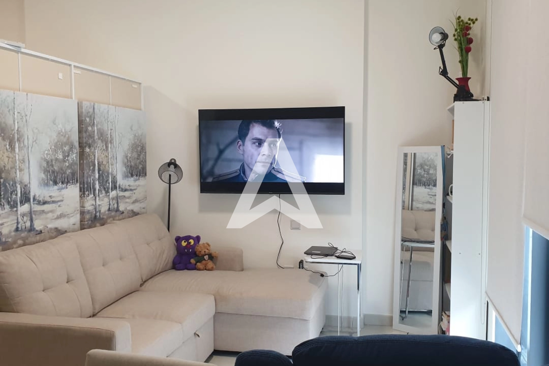 Displayed image from the thumbnail slider