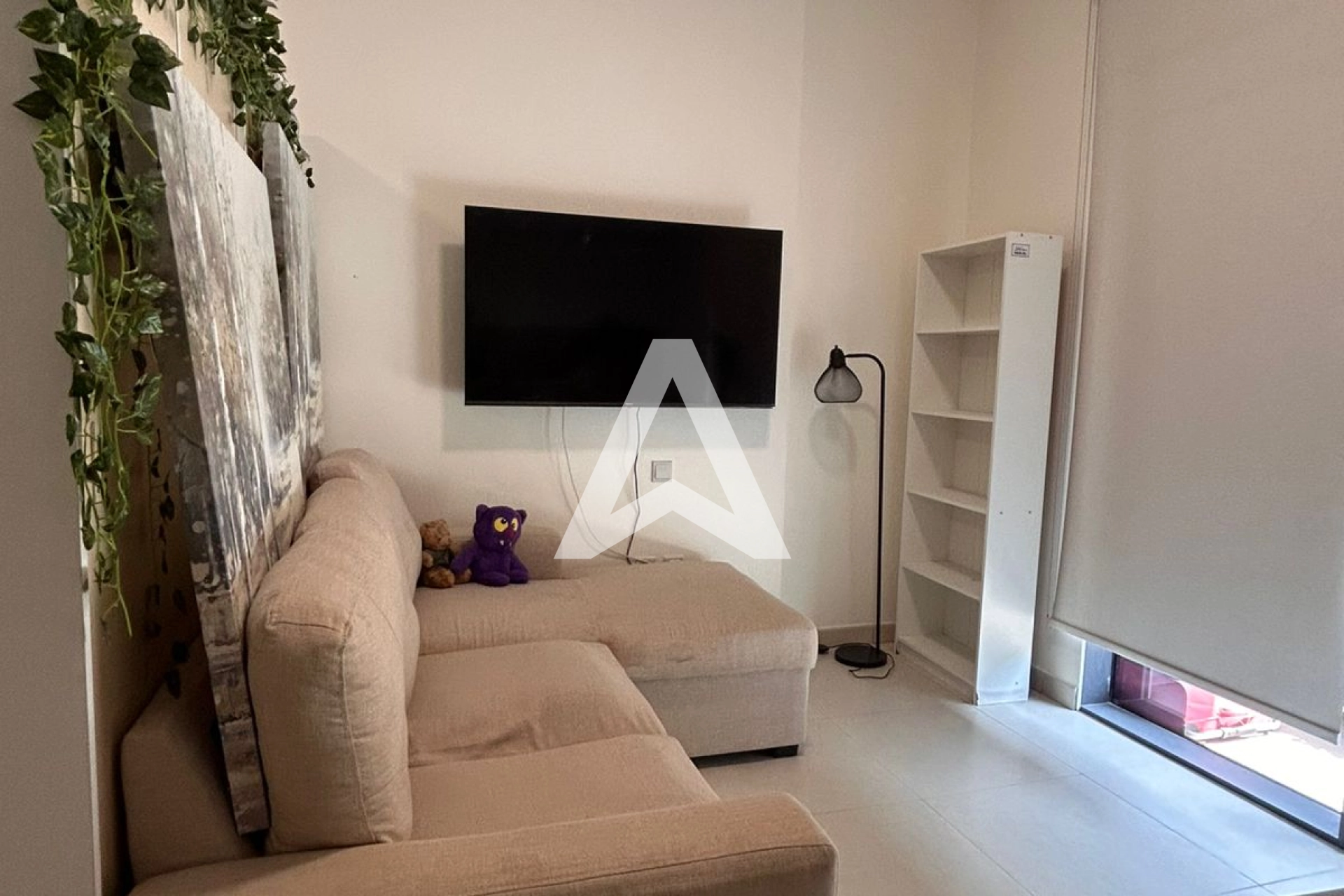 Displayed image from the thumbnail slider