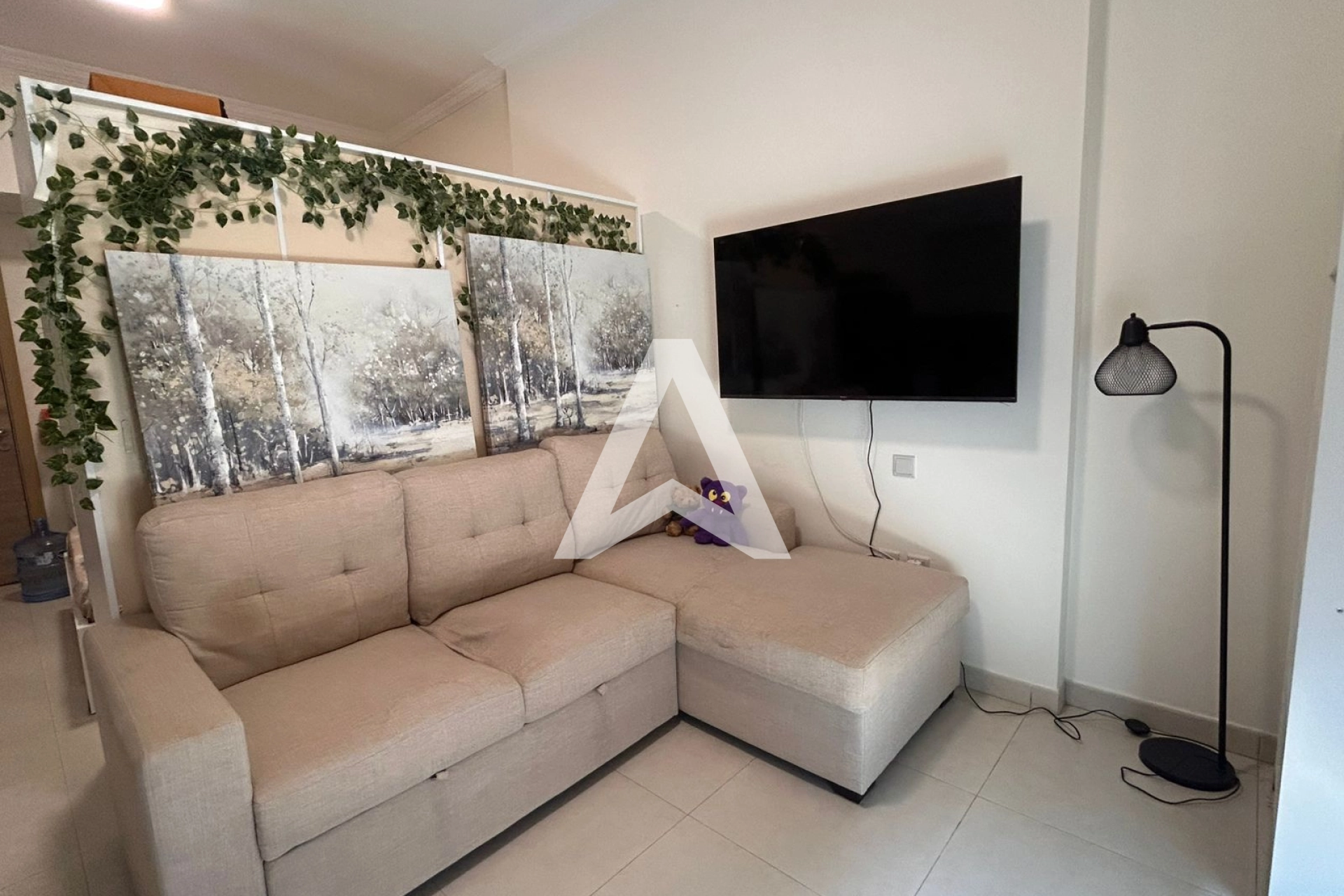 Displayed image from the thumbnail slider