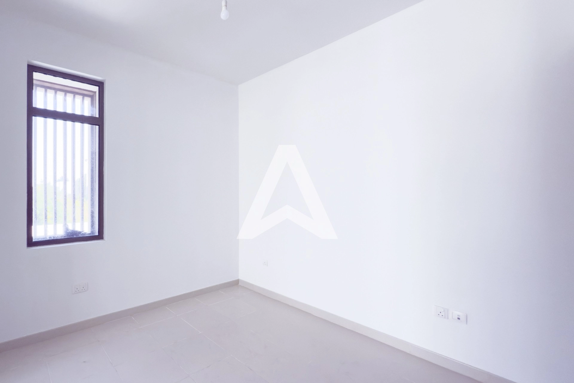 Displayed image from the thumbnail slider