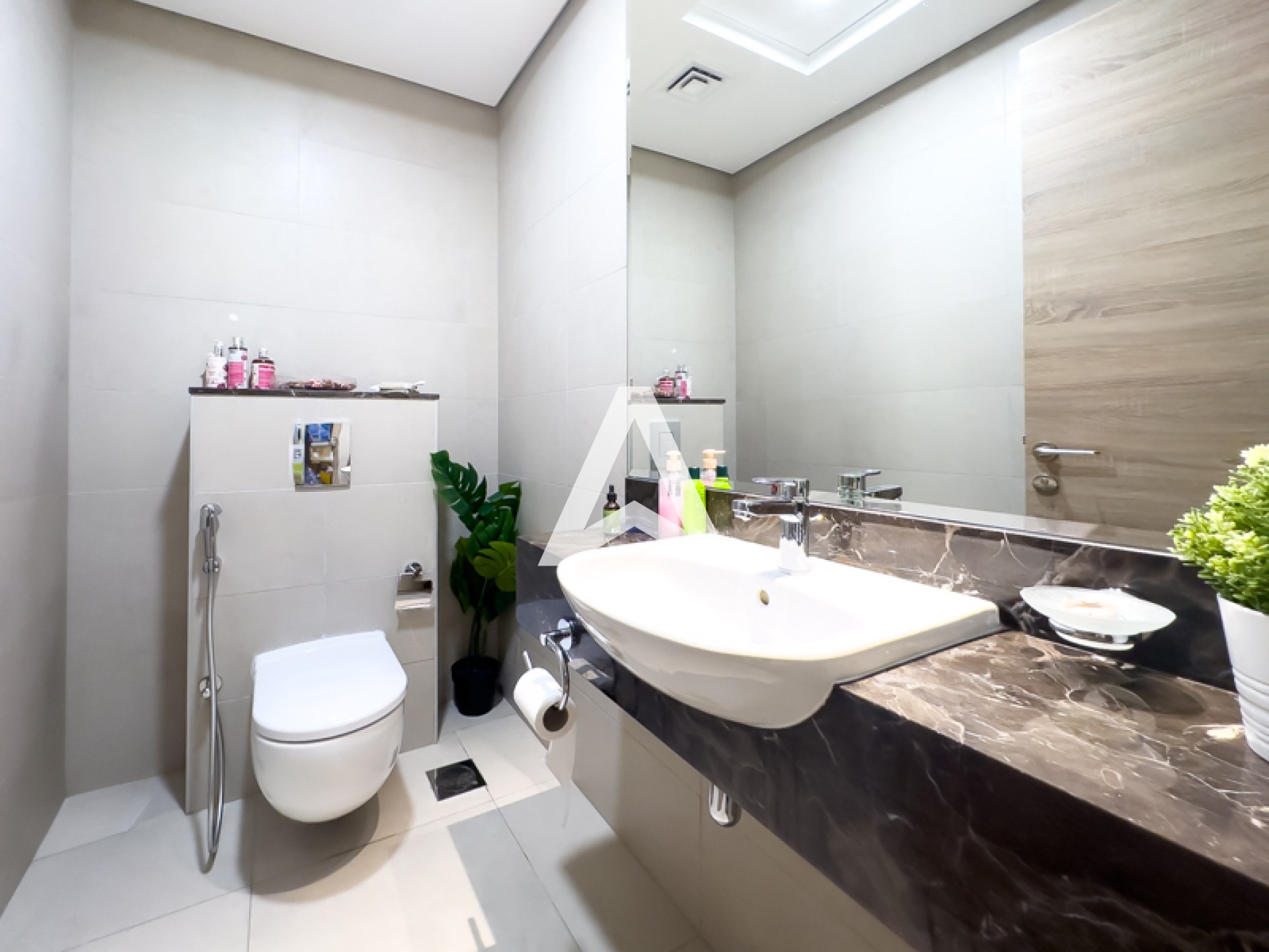 Displayed image from the thumbnail slider