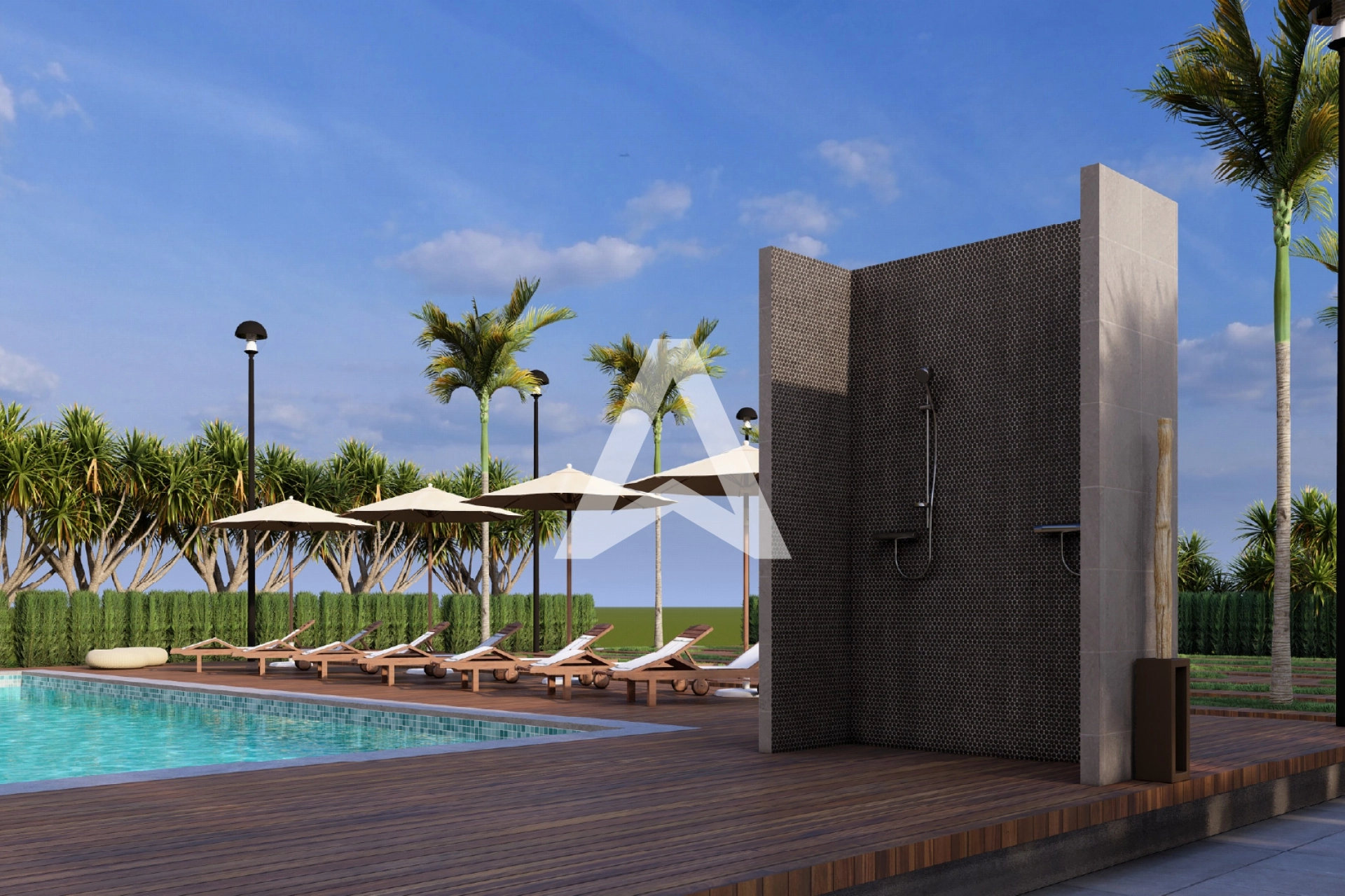 Displayed image from the thumbnail slider