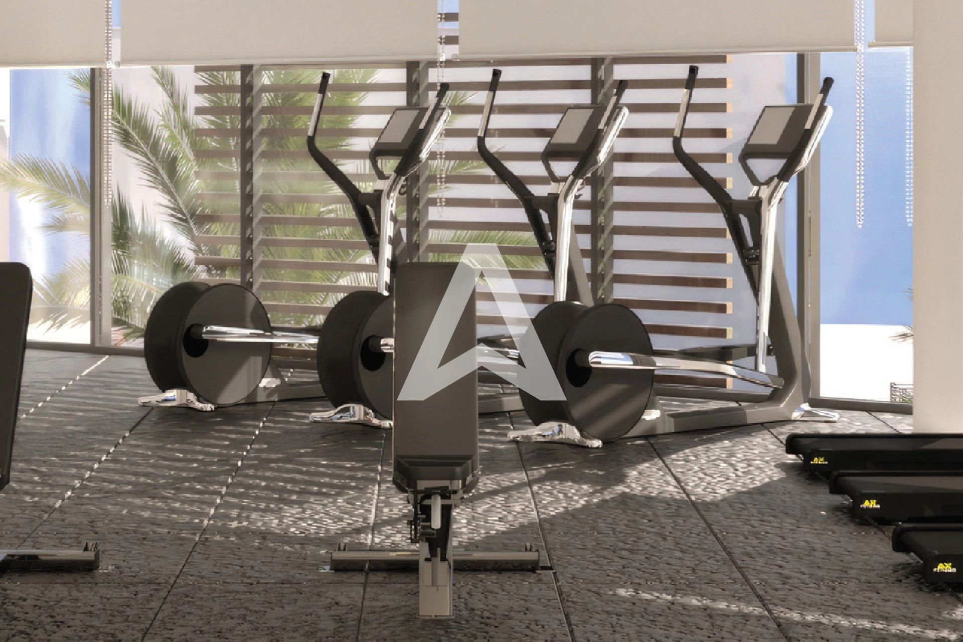 Displayed image from the thumbnail slider