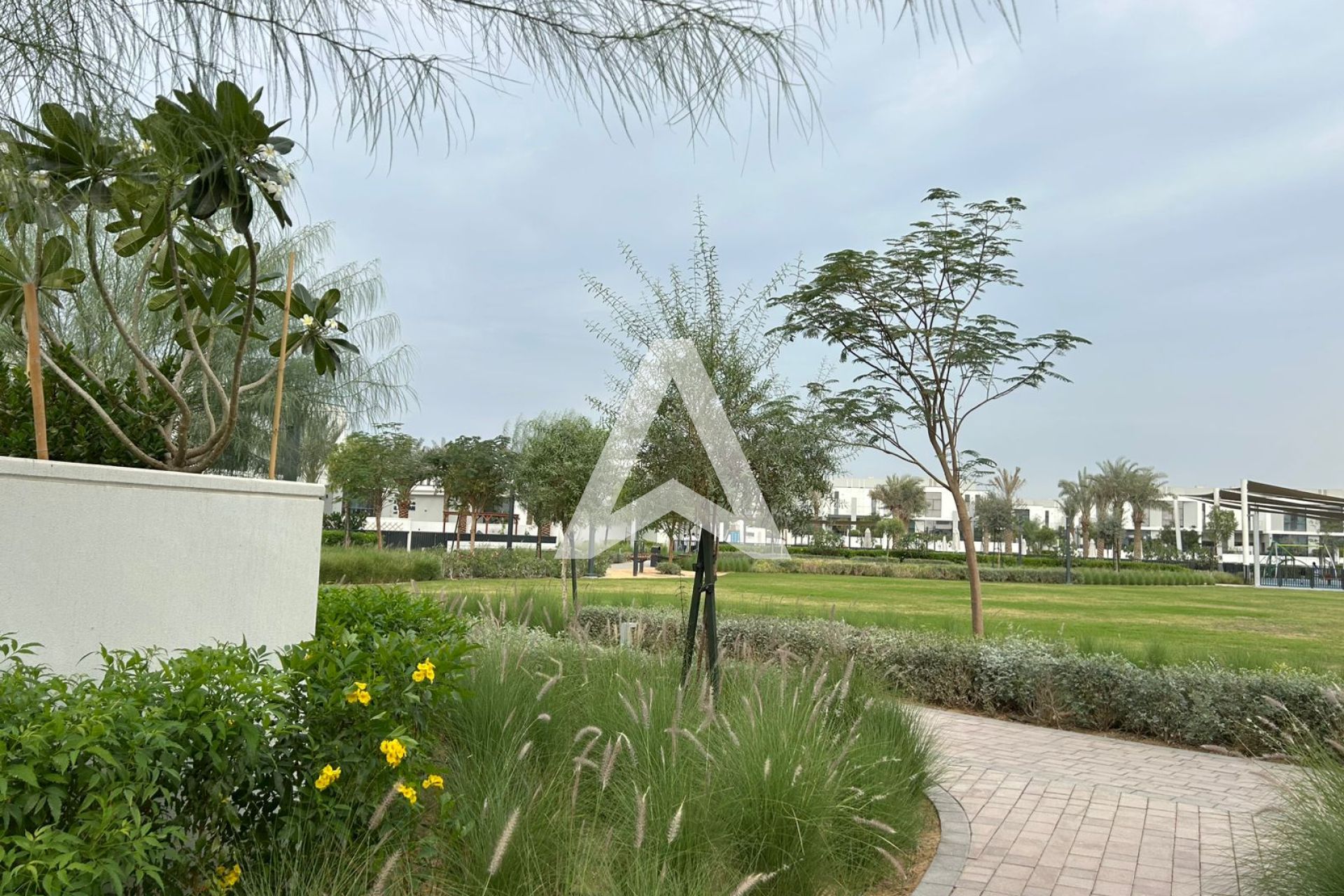 Displayed image from the thumbnail slider