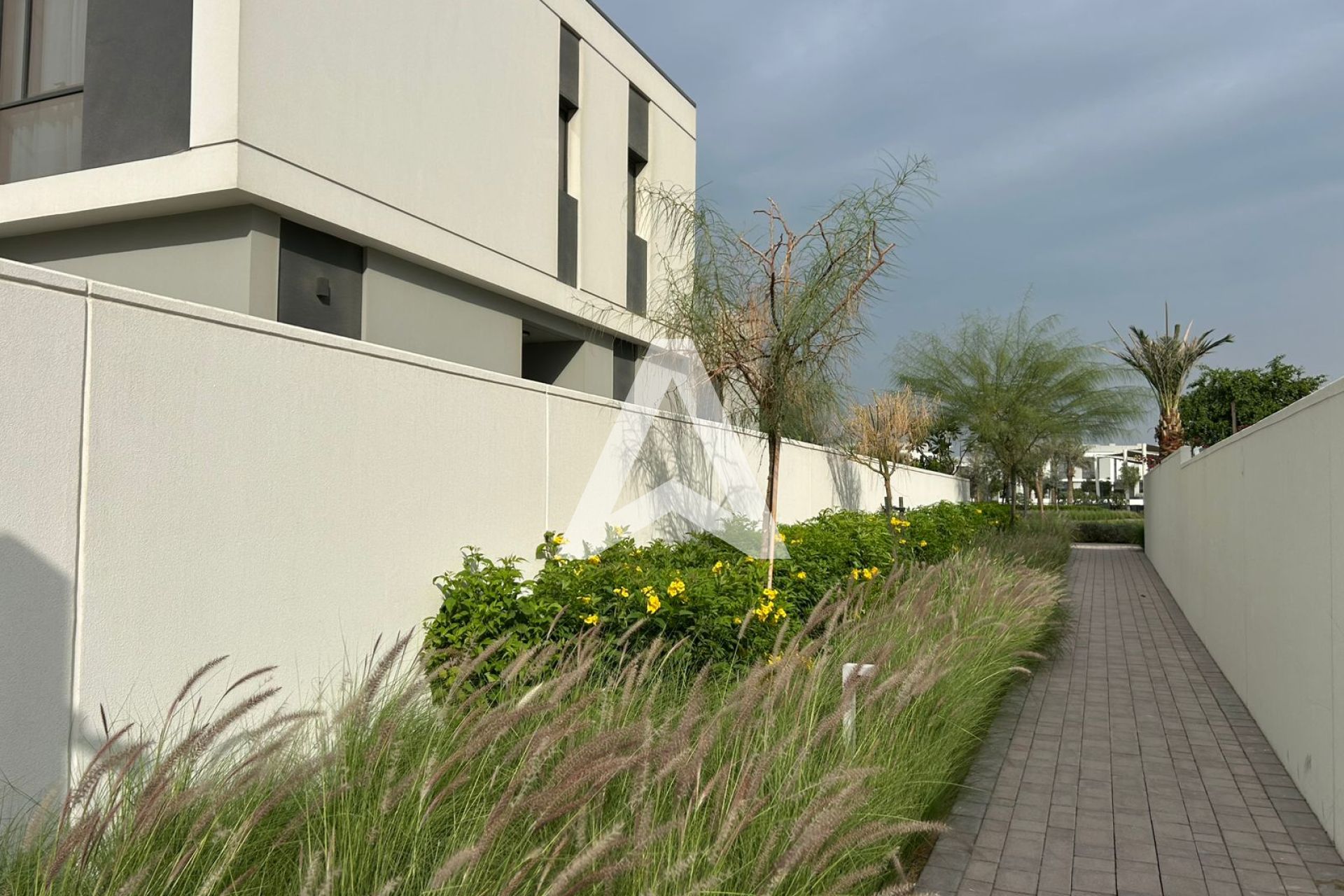 Displayed image from the thumbnail slider