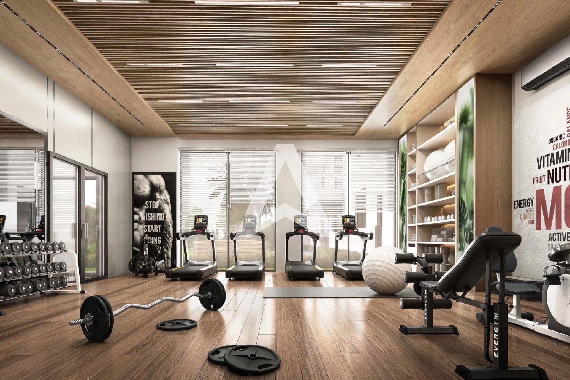 Displayed image from the thumbnail slider